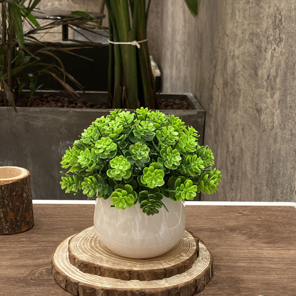 Bonsai Garden Cafe - نبات بونساي اصطناعي واقعي في وعاء،