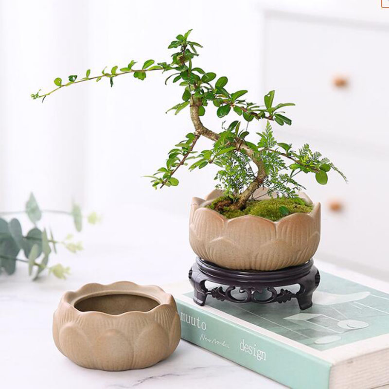 Bonsai Garden Art - وعاء نبات لوتس من الفخار الخشن