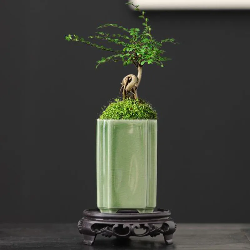 Bonsai Garden Art - مزهرية بورسلين مربعة مزججة بلون السيلادون