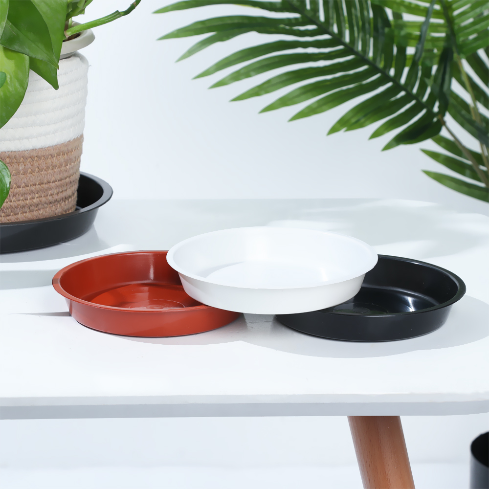 صواني نباتية مستديرة الشكل ، ص - مراجعة Drip Tray Saucer وسعره