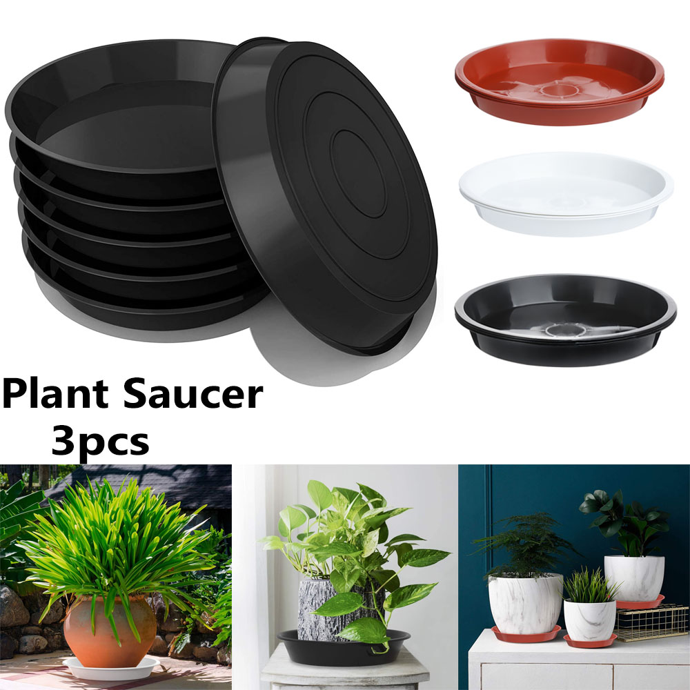 صواني نباتية مستديرة الشكل ، ص - مراجعة Drip Tray Saucer وسعره
