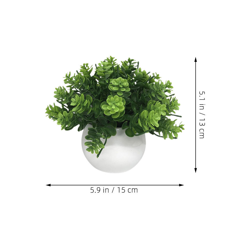 نبات بونساي اصطناعي واقعي في و - مراجعة Bonsai Garden Cafe وسعره