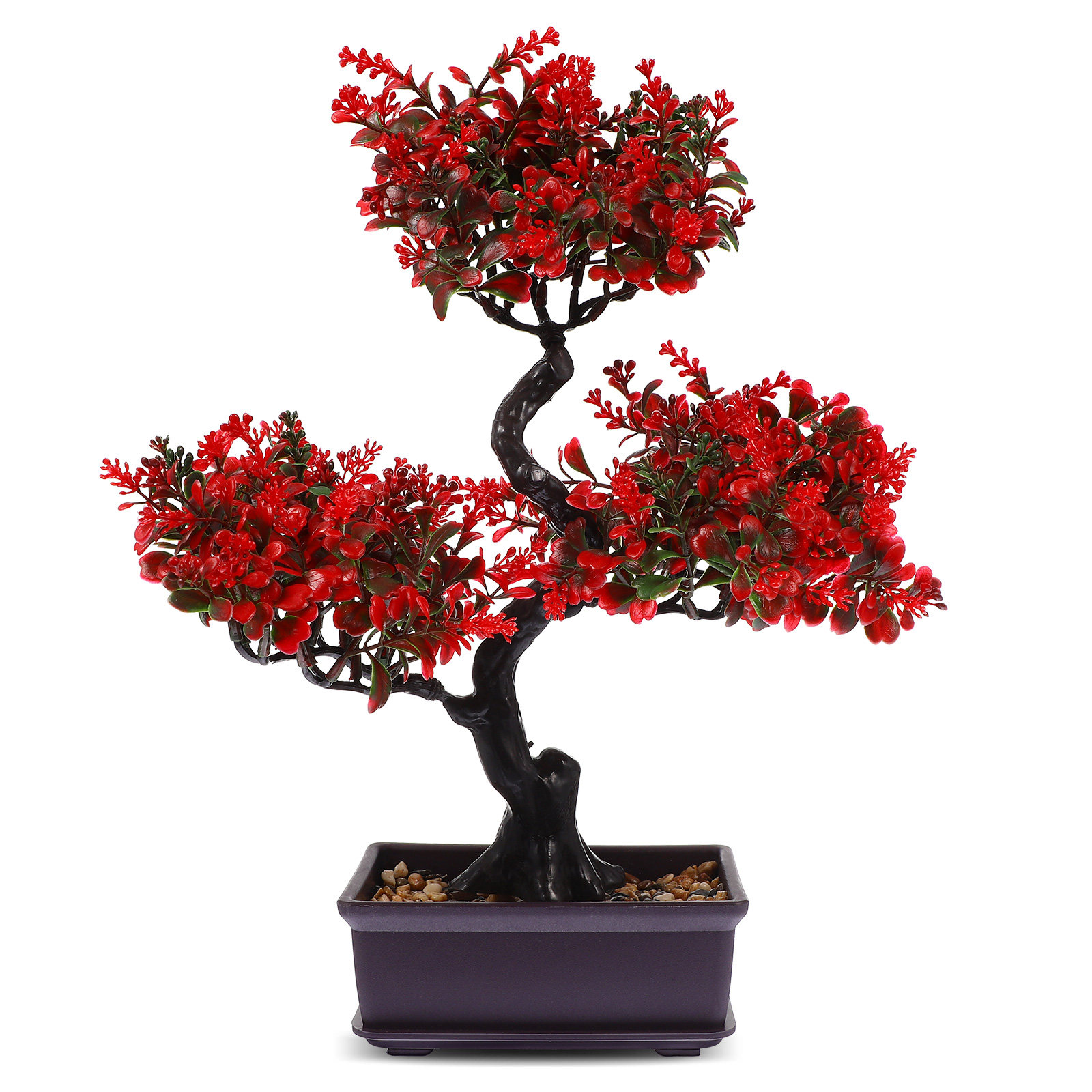 شجرة بونساي اصطناعية، نبات زين - مراجعة Bonsai Garden Cafe وسعره