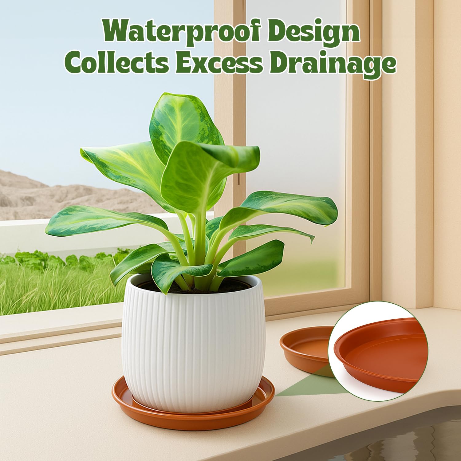 12 عبوة من أواني النباتات - 4  - مراجعة Drip Tray Saucer وسعره