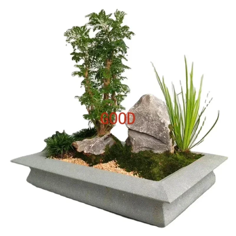 وعاء بونساي إبداعي من الحجر ال - مراجعة Bonsai Garden Art وسعره