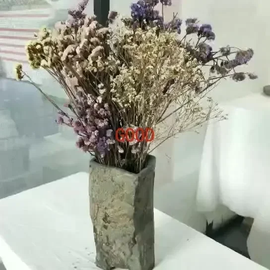 وعاء بونساي إبداعي من الحجر ال - مراجعة Bonsai Garden Art وسعره