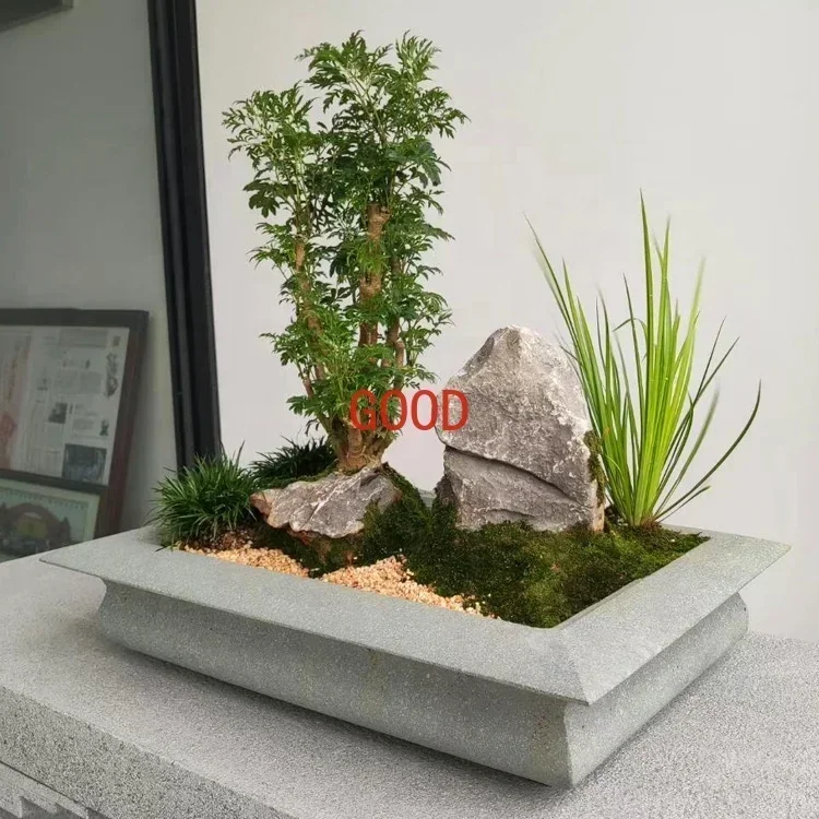 وعاء بونساي إبداعي من الحجر ال - مراجعة Bonsai Garden Art وسعره