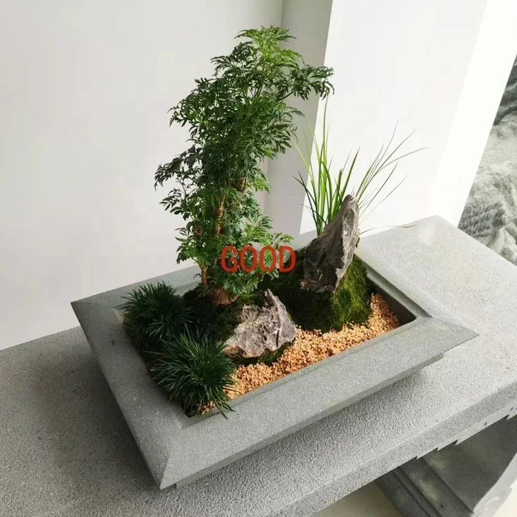 وعاء بونساي إبداعي من الحجر ال - مراجعة Bonsai Garden Art وسعره