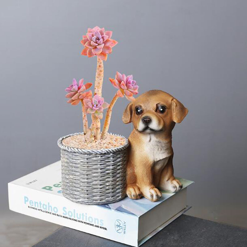 غرفة المعيشة المنزلية مكتب الر - مراجعة Bonsai Garden Art وسعره