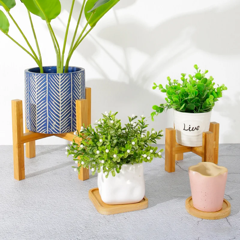 حامل أوعية الزهور النباتية رف  - مراجعة Bonsai Garden Display Stands وسعره