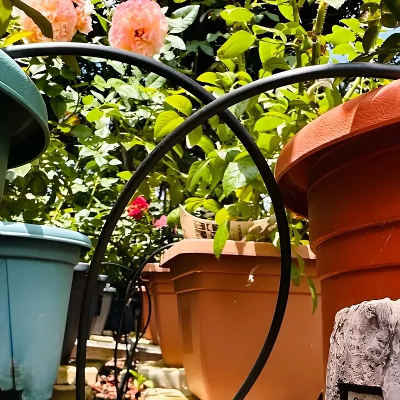 خرطوم ري للحدائق 4/7 مم من الب - مراجعة Bonsai Garden Youtube وسعره