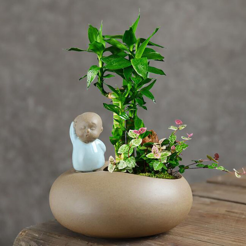 النمط الصيني الرجعية السيراميك - مراجعة Bonsai Garden Art وسعره