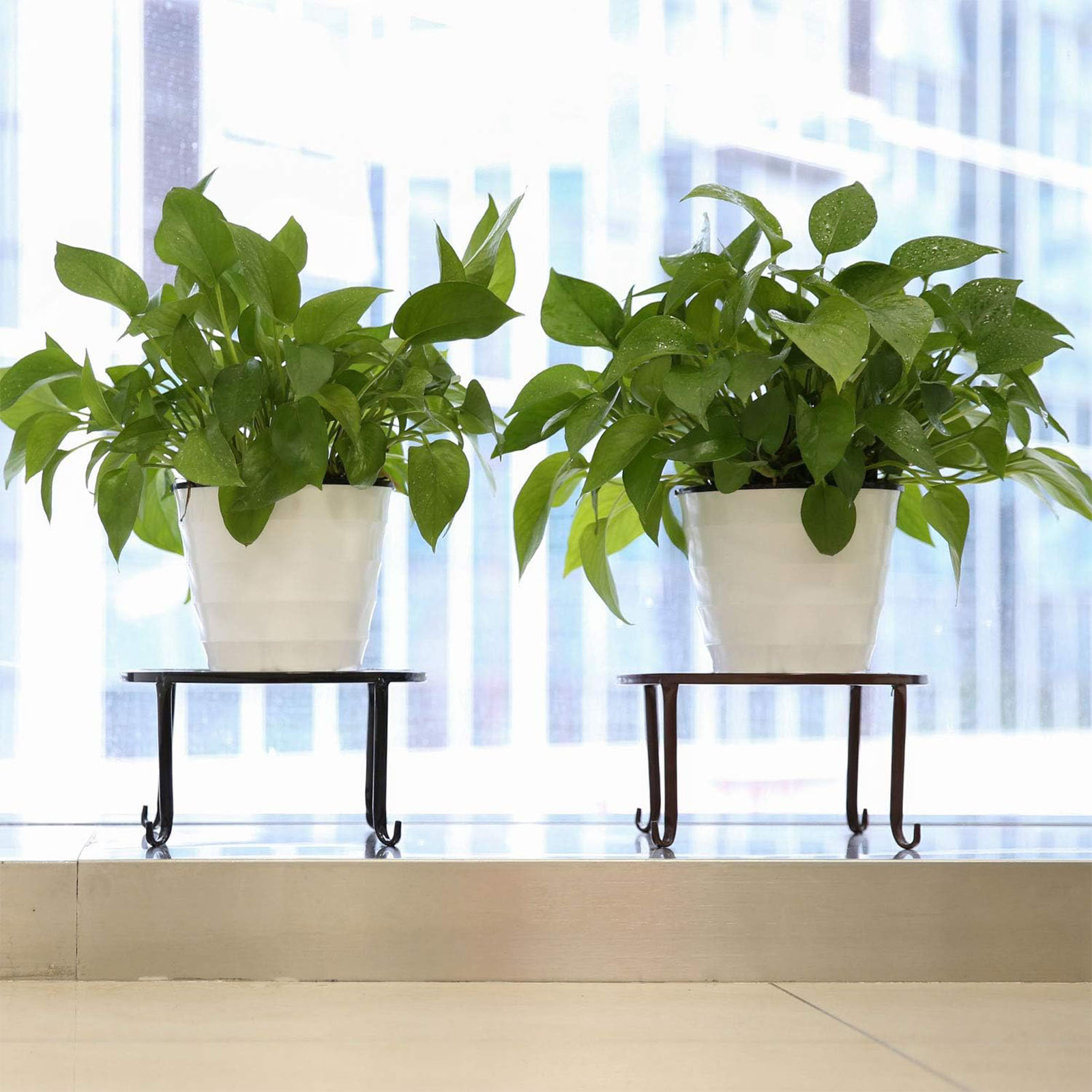 1 قطعة حامل نبات معدني اناء لل - مراجعة Bonsai Garden Display Stands وسعره