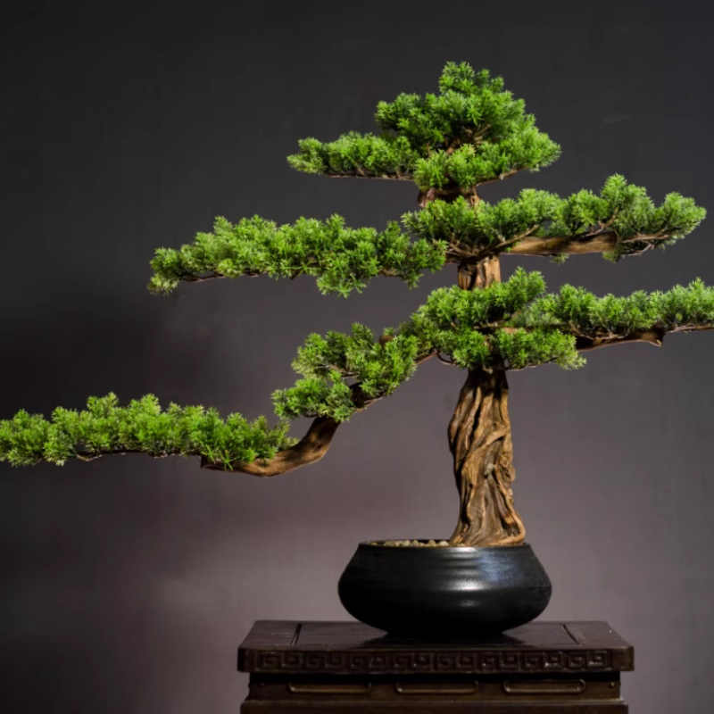 المنزل ترحيب الصنوبر الحلي مقل - مراجعة Bonsai Garden Entrance وسعره