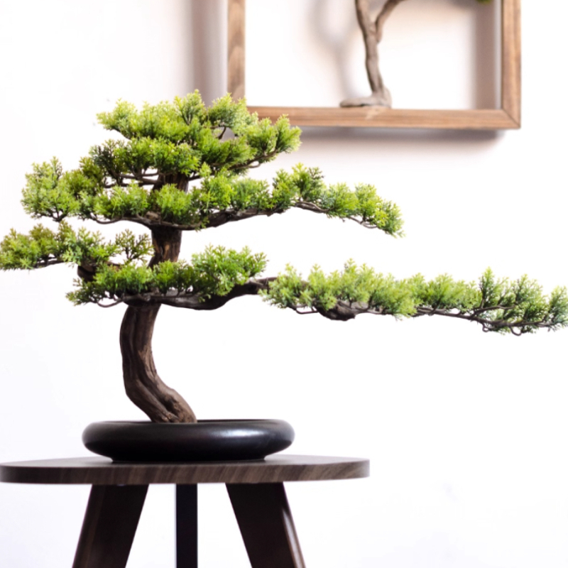 المنزل ترحيب الصنوبر الحلي مقل - مراجعة Bonsai Garden Entrance وسعره