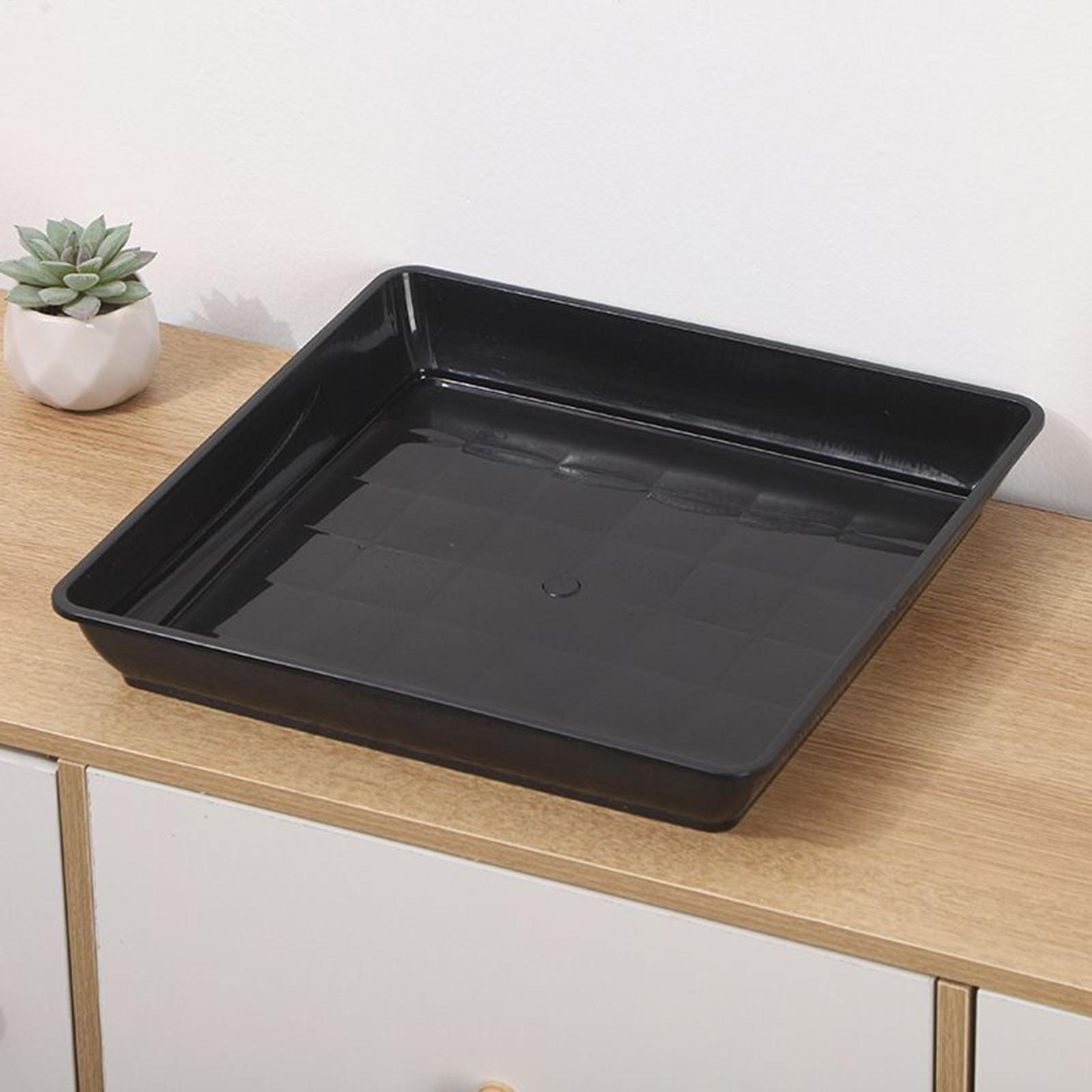 صواني نباتات للأصص، قطعتين، صح - مراجعة Drip Tray Saucer وسعره