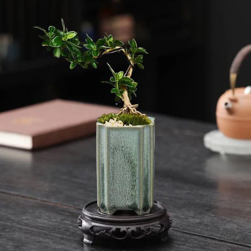 مزهرية بورسلين مربعة مزججة بلو - مراجعة Bonsai Garden Art وسعره
