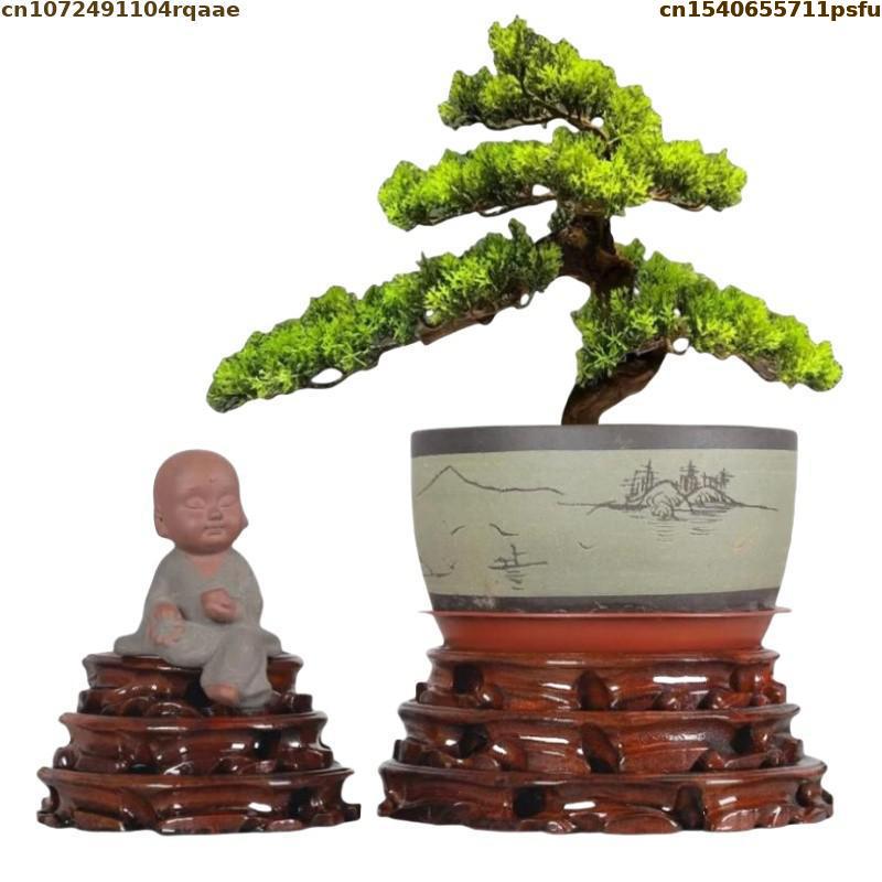6-30 سنتيمتر القطر الدائمة زهر - مراجعة Bonsai Garden Display Stands وسعره