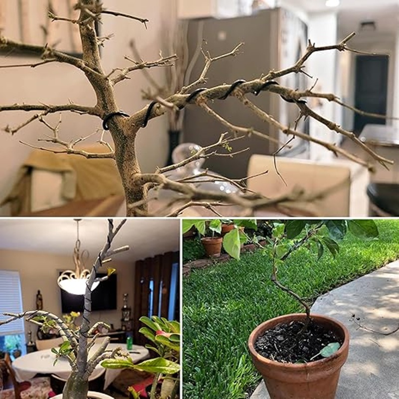 سلك بونساي من الألومنيوم الأسو - مراجعة Bonsai Garden Art وسعره