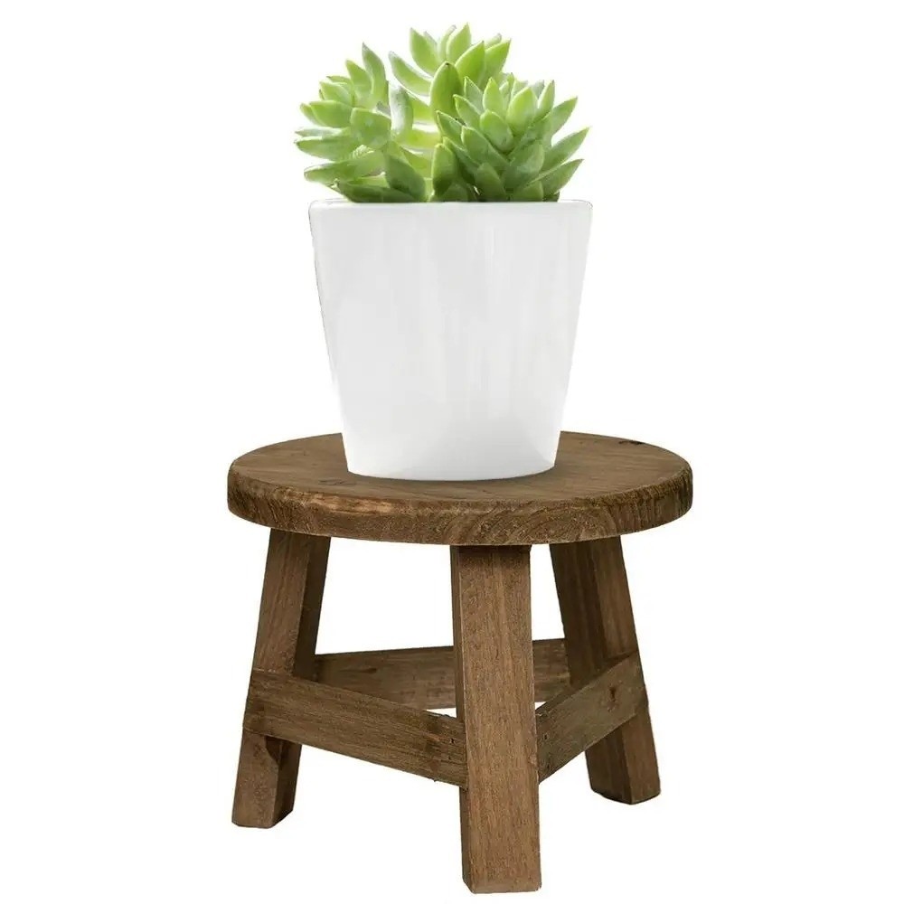 حامل نباتات عصارية خشبي دائري  - مراجعة Bonsai Garden Display Stands وسعره